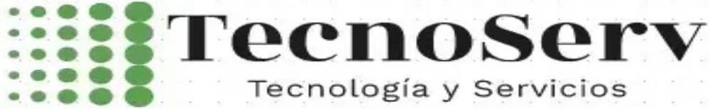 TecnoServ logo